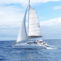 Cruising Catamaran Sailing Course in the Caribbean: (ASA 114)